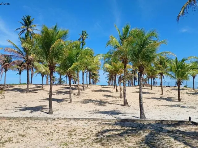 Imagem 4: TERRENO RESIDENCIAL em Porto de Sauípef - BA, praia de Porto de Sauípef