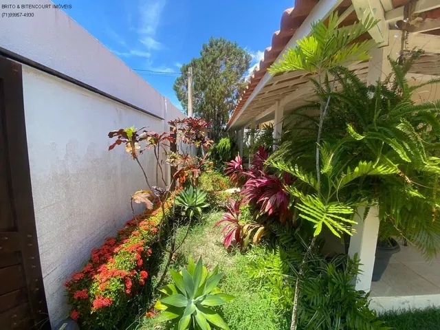 Imagem 10: CASA RESIDENCIAL em Camaçari - BA, Jauá