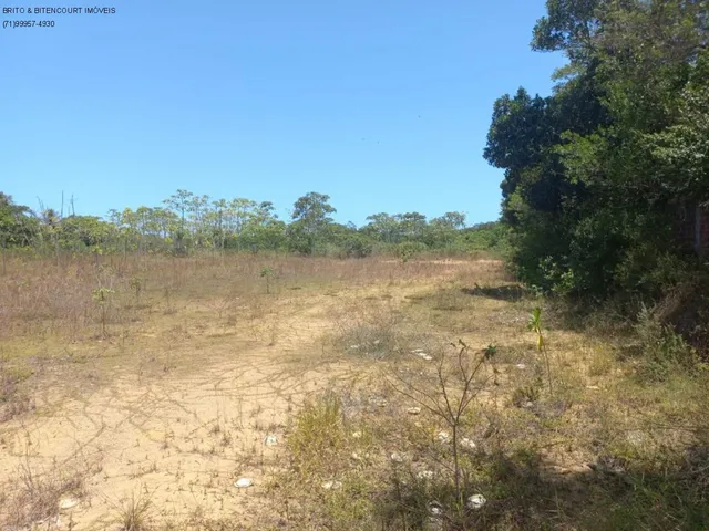 Imagem 3: Terreno Comercial em Salvador - Ba, Cassange