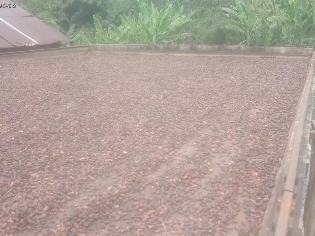 Imagem 12: FAZENDA RURAL em SÃO JOSÉ DA VITÓRIA - BA, ÁREA RURAL