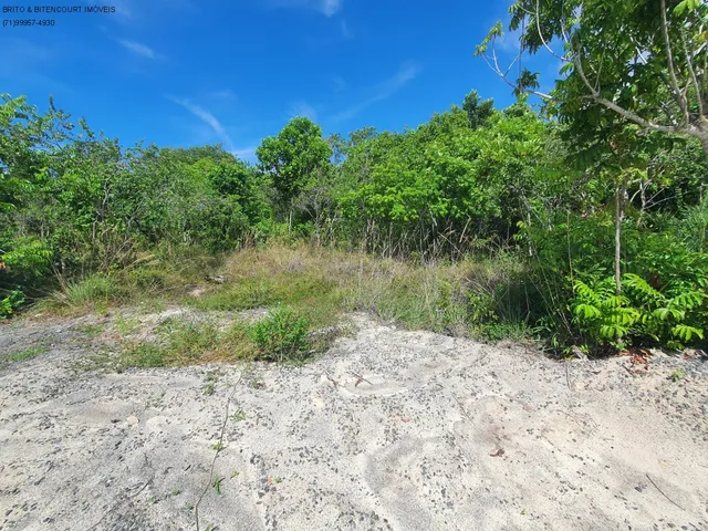 Imagem 4: TERRENO RESIDENCIAL em CAMAÇARI - BA, BUSCA VIDA