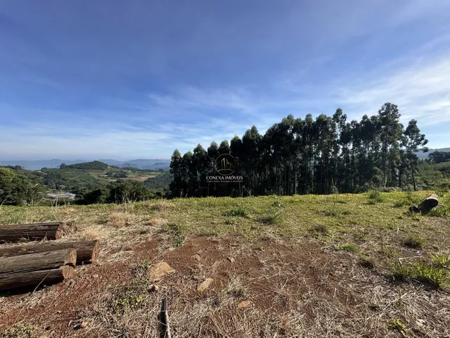 Imagem 3: Área à venda em Morro Reuter | 12.840m²