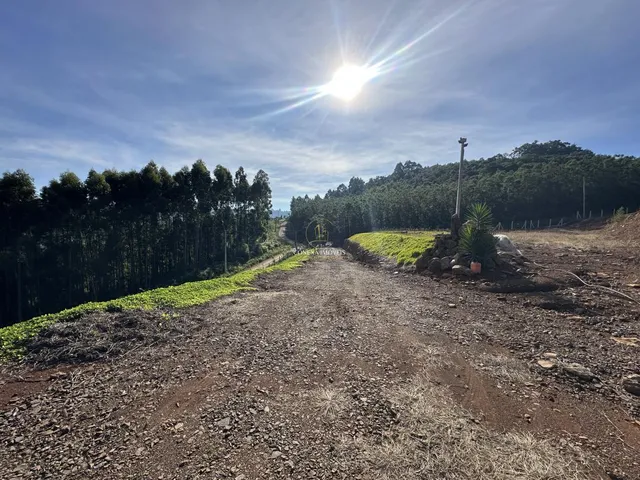Imagem 6: Área à venda em Morro Reuter | 12.840m²
