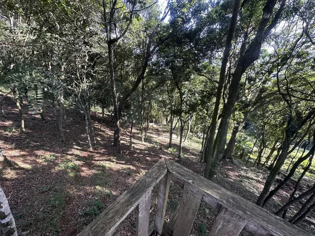 Imagem 9: Área à venda em Morro Reuter | 12.840m²