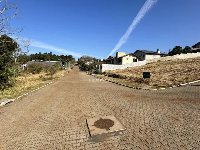 Imagem 6: Terreno à venda em Ivoti | Bairro Concórdia