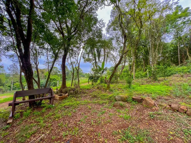 Imagem 5: Sítio em Ivoti | 2.400m² | chalé | área com mata