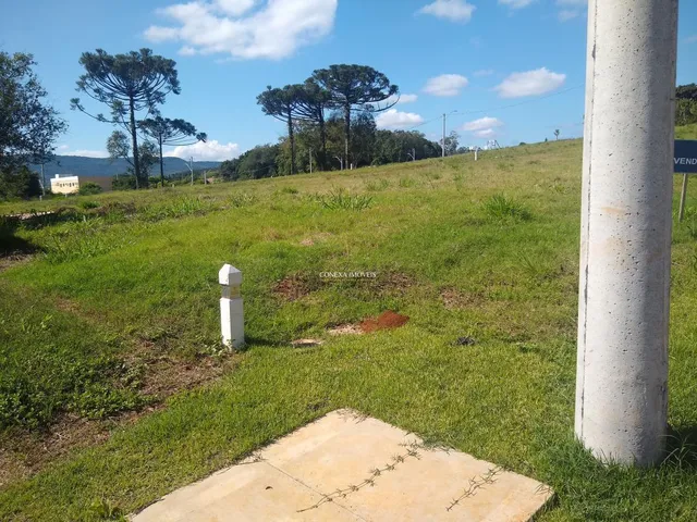 Imagem 3: Terreno em Ivoti | 582m² | novo loteamento