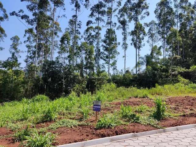 Imagem 2: Lindos Terrenos Centro de Presidente Lucena Loteamento Lucena