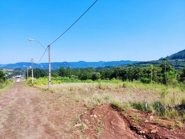Imagem 8: Lindos Terrenos Centro de Presidente Lucena Loteamento Lucena