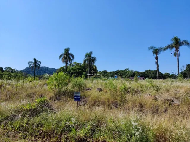 Imagem 3: Lindos Terrenos Centro de Presidente Lucena Loteamento Lucena