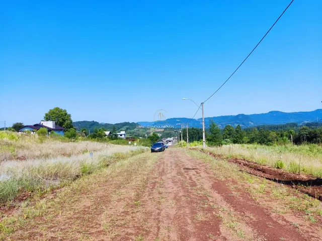 Imagem 6: Lindos Terrenos Centro de Presidente Lucena Loteamento Lucena