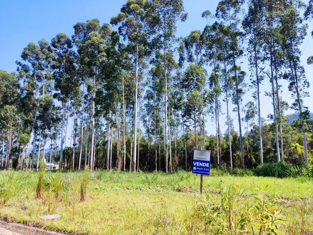 Imagem: Lindos Terrenos Centro de Presidente Lucena
