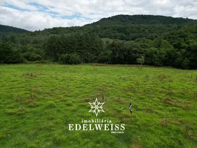 Imagem 4: Área de Terra a Venda, Padilha - Oportunidade Única!