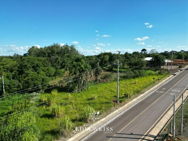 Imagem 8: Terreno à venda em Nova Hartz, Solitária Alta!
