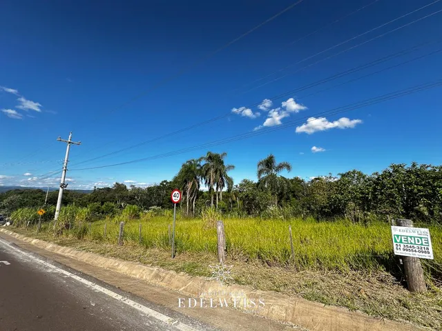Imagem 14: Terreno à venda em Nova Hartz, Solitária Alta!