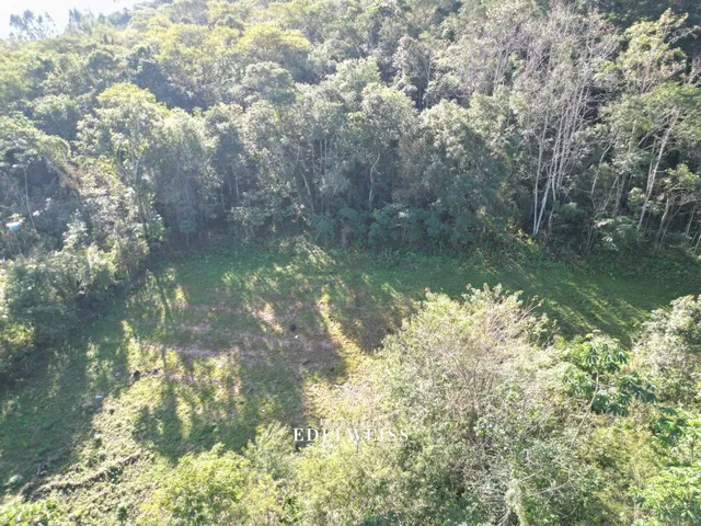 Imagem 6: Venda de Área de Terra em Três Coroas - Localidade de Santa Maria