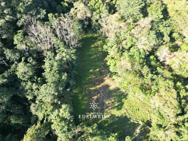 Imagem 9: Venda de Área de Terra em Três Coroas - Localidade de Santa Maria