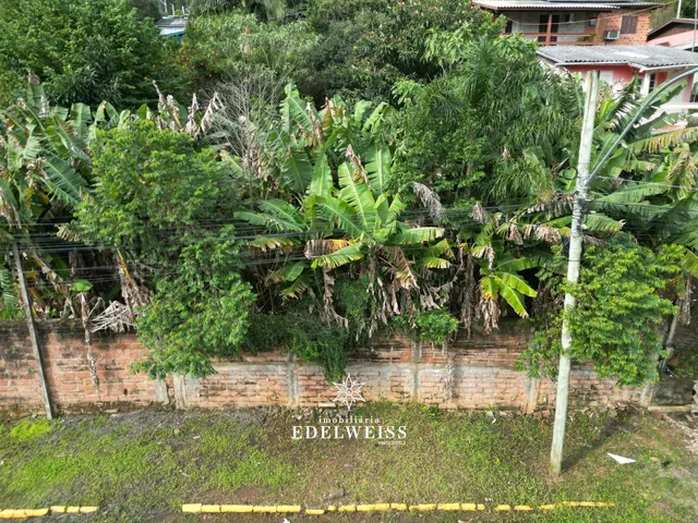 Imagem: Imperdível!