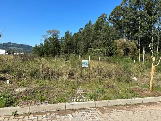 Imagem: Imperdível!