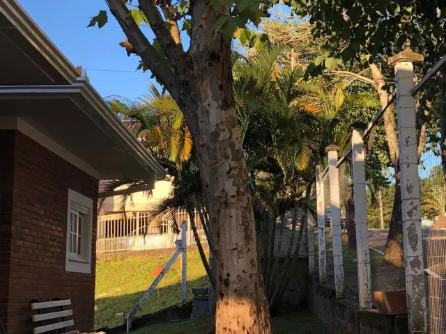 Imagem 8: Casa À Venda em Igrejinha no Loteamento 3L!
