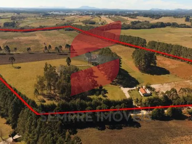 Imagem 4: ÁREA à venda com 362379m² por R$ 36.600.230,52 no bairro Campo Largo da Roseira - SÃO