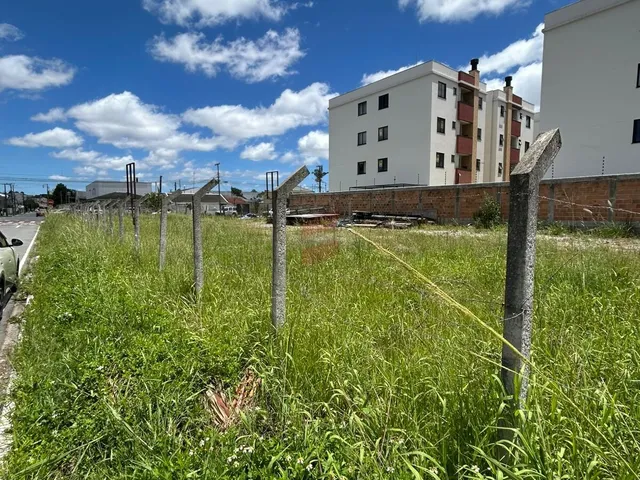 Imagem 4: ÁREA à venda com 2175.22m² por R$ 3.284.000,00 no bairro Vargem Grande - PINHAIS / PR
