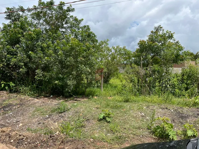 Imagem 6: Área À Venda com 3363.3M² por R$ 1.800.000,00 no Bairro Canguiri - Colombo / Pr