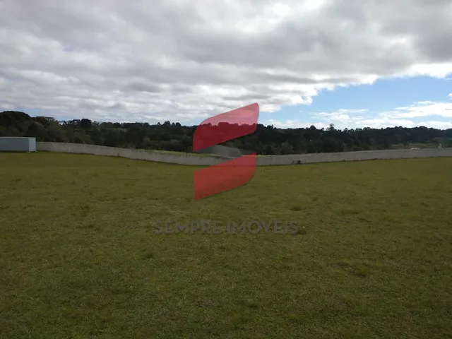 Imagem 4: CHÁCARA à venda com 6250.86m² por R$ 754.000,00 no bairro planta laranjeiras