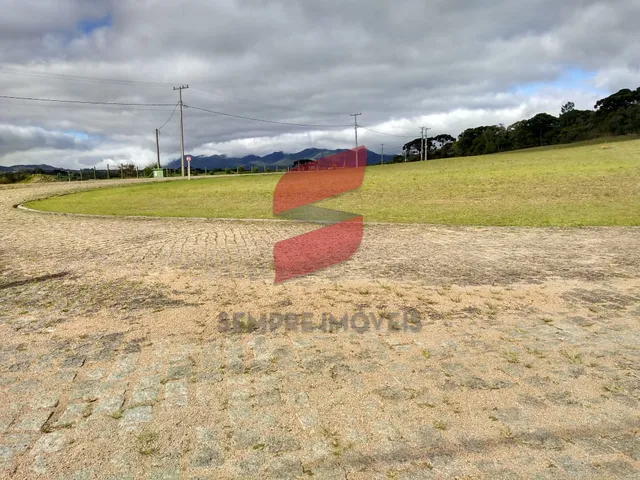 Imagem 15: CHÁCARA à venda com 6250.86m² por R$ 754.000,00 no bairro planta laranjeiras