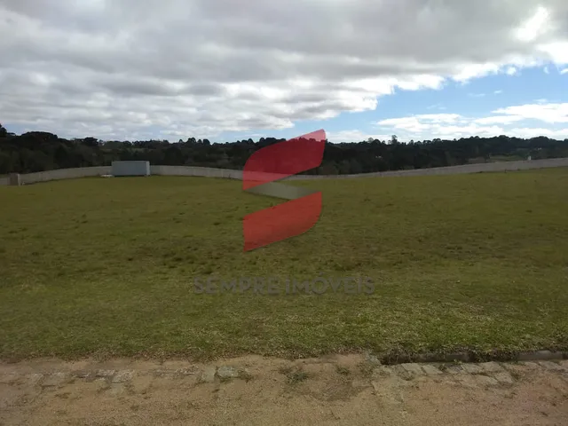 Imagem 5: CHÁCARA à venda com 6250.86m² por R$ 752.000,00 no bairro planta laranjeiras
