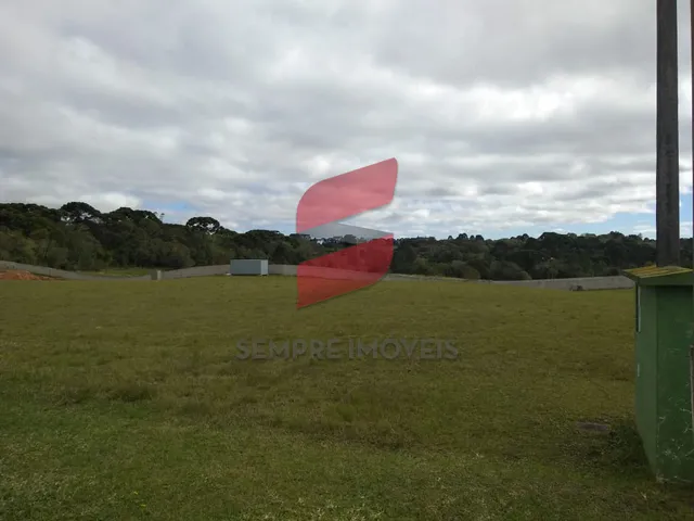 Imagem 12: CHÁCARA à venda com 6250.86m² por R$ 752.000,00 no bairro planta laranjeiras