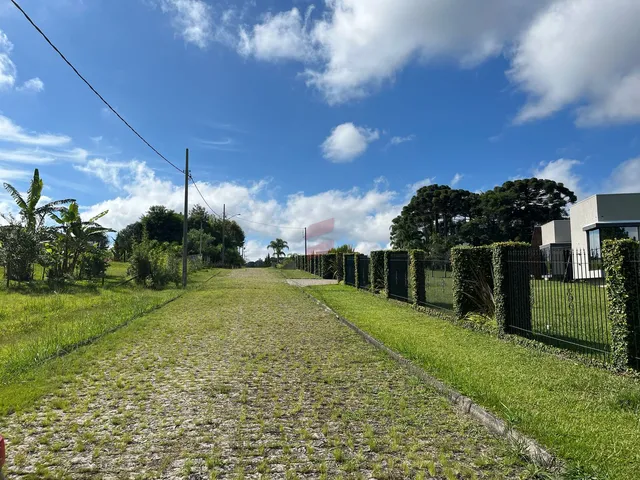 Imagem 4: Área À Venda com 6250.86M² por R$ 754.000,00 no Bairro Planta Laranjeiras - Piraquara / Pr