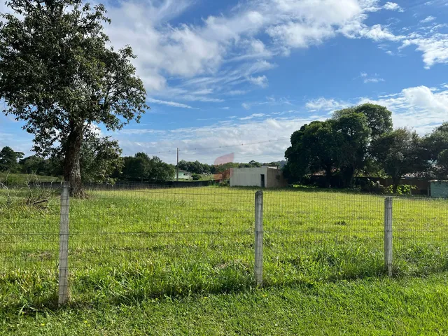 Imagem 12: Área À Venda com 6250.86M² por R$ 754.000,00 no Bairro Planta Laranjeiras - Piraquara / Pr