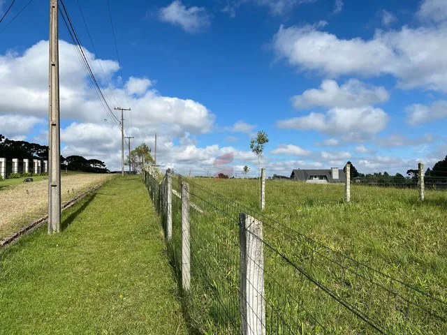 Imagem 13: Área À Venda com 6250.86M² por R$ 754.000,00 no Bairro Planta Laranjeiras - Piraquara / Pr