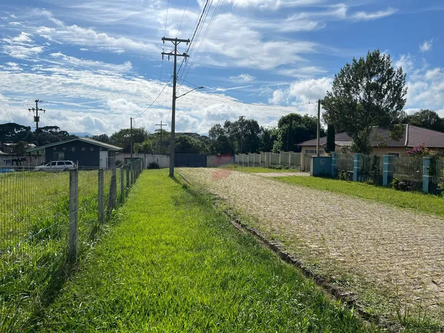 Imagem 2: Área À Venda com 6250.86M² por R$ 754.000,00 no Bairro Planta Laranjeiras - Piraquara / Pr