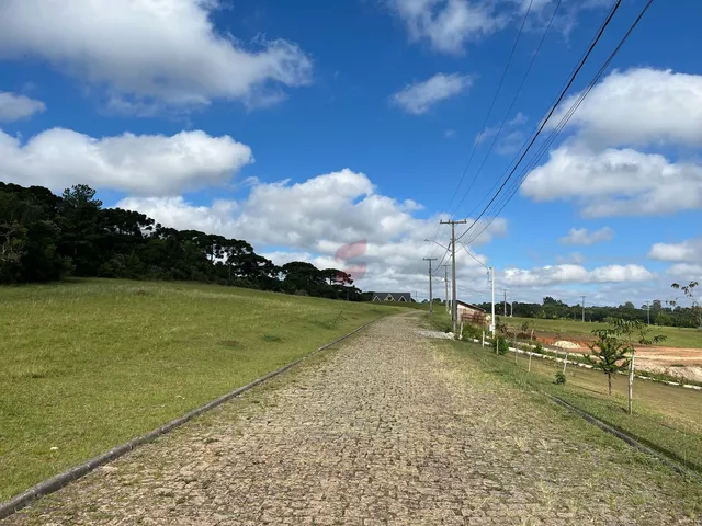 Imagem 15: Área À Venda com 6250.86M² por R$ 754.000,00 no Bairro Planta Laranjeiras - Piraquara / Pr