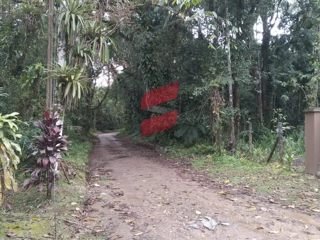 Imagem 5: TERRENO com 2 dormitórios à venda com 16000m² por R$ 375.000,00 no bairro Rio do Nunes