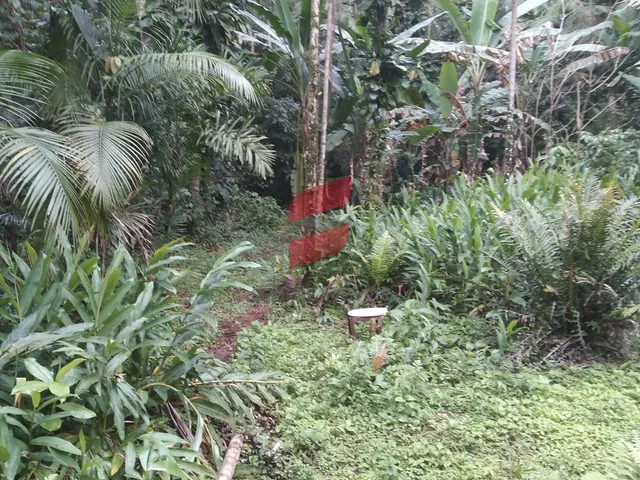 Imagem 12: TERRENO com 2 dormitórios à venda com 16000m² por R$ 375.000,00 no bairro Rio do Nunes
