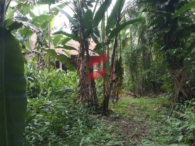 Imagem 15: TERRENO com 2 dormitórios à venda com 16000m² por R$ 375.000,00 no bairro Rio do Nunes