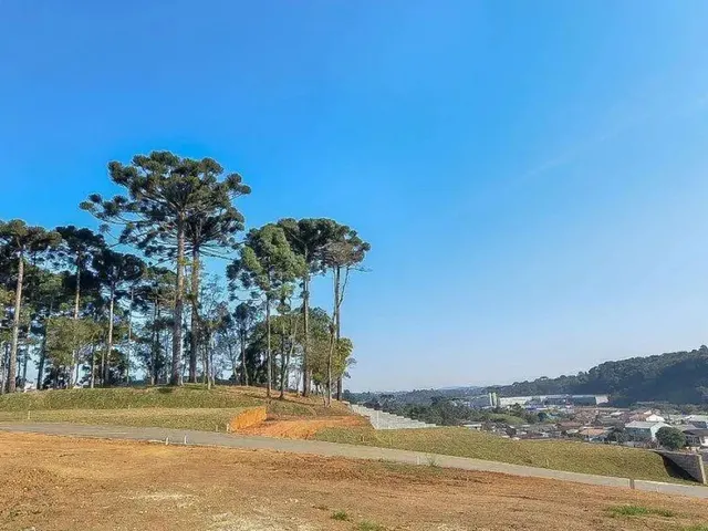 Imagem 2: Terreno/Lote Residencial em Colombo, no bairro Roça Grande - Referência: