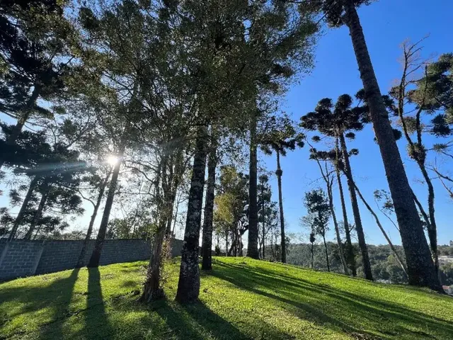 Imagem 6: Residencial das Araucárias