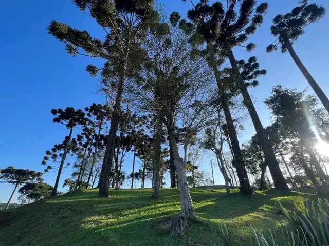Imagem 4: Residencial das Araucárias