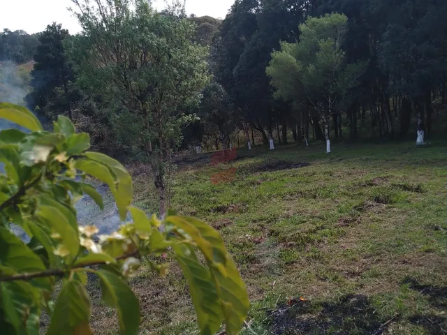 Imagem 4: CHÁCARA à venda com 4840m² por R$ 100.000,00 no bairro Areia Branca - MANDIRITUBA / PR