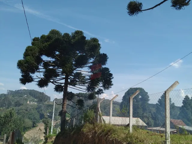 Imagem 10: CHÁCARA à venda com 4840m² por R$ 100.000,00 no bairro Areia Branca - MANDIRITUBA / PR