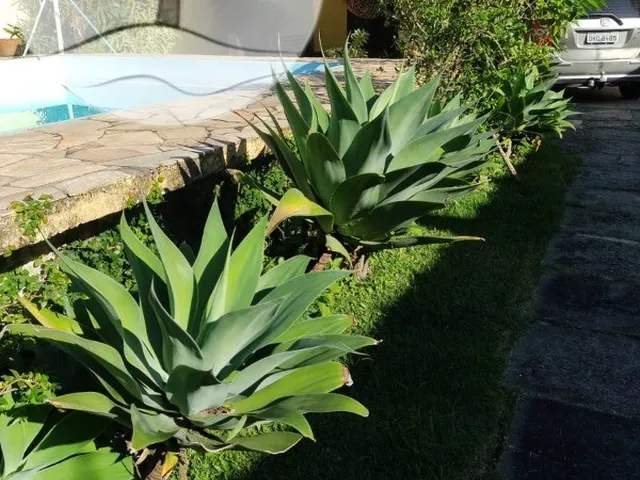 Imagem 2: Sobrado Localizado a Apenas 70 Metros da Praia de Águas Calmas do Bairro do Indaiá