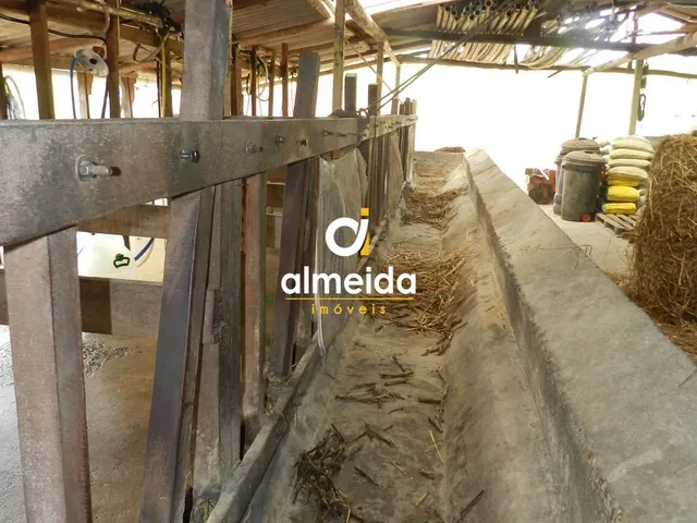 Imagem 4: Chácara 3 dormitórios à venda Zona rural Restinga Seca/RS