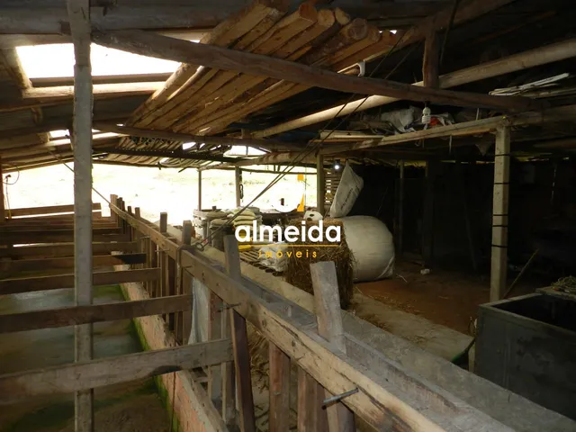 Imagem 7: Chácara 3 dormitórios à venda Zona rural Restinga Seca/RS