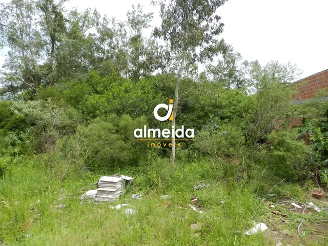 Imagem 2: Terreno À Venda Pé de Plátano santa Maria/Rs