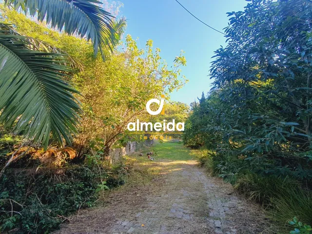 Imagem 6: CHACARA DENTRO DA CIDADE