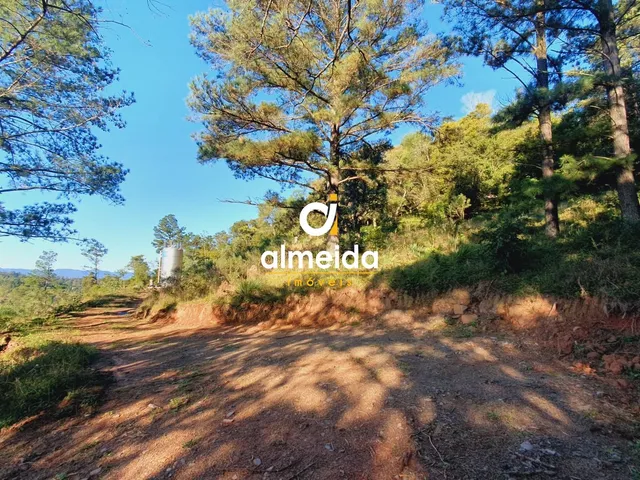 Imagem 7: CHACARA DENTRO DA CIDADE